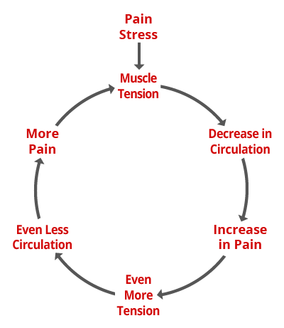The pain-spasm-pain cycle